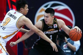 LOL直播入口 - 西蜀赛鸽比赛结果 