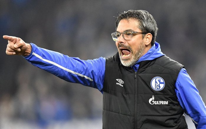 萨克拉门托国王今夜强势反弹，志在德甲名次提升，信心回归，团队化学反应显著的简单介绍